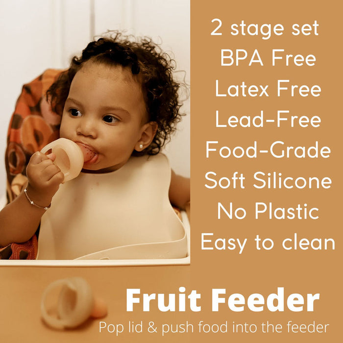 Ali+Oli Silicone Food & Fruit Feeder 2-Pack