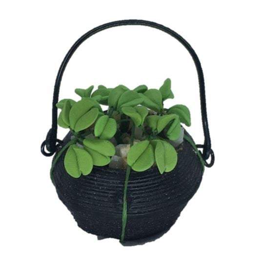 Miniature Green Plant in Black Cauldron