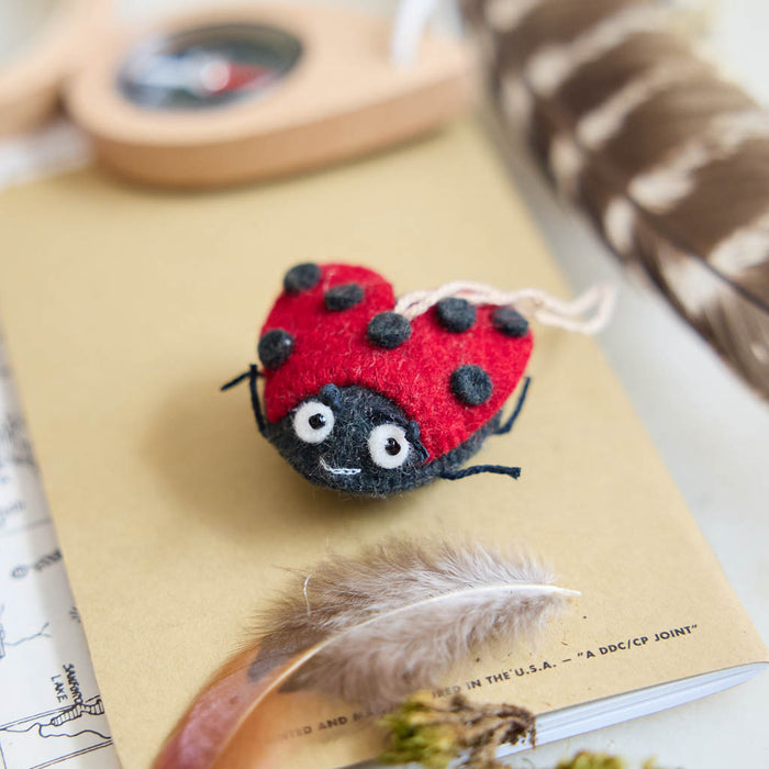 Nature Explorers Mini Ornaments - Set of 8