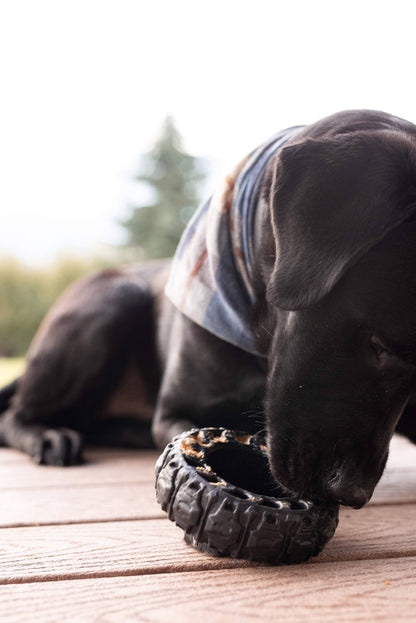 The Tire - Large Reclaimed Rubber Toy - MADE IN THE USA